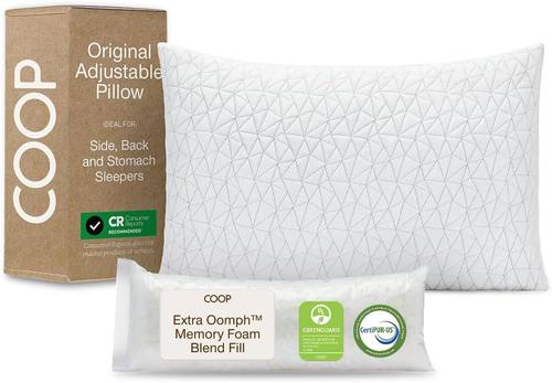The Coop Home Goods Pillow, The Only Pillow That Fixed My Neck